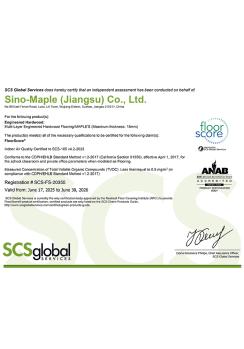 Placar SCS-FS